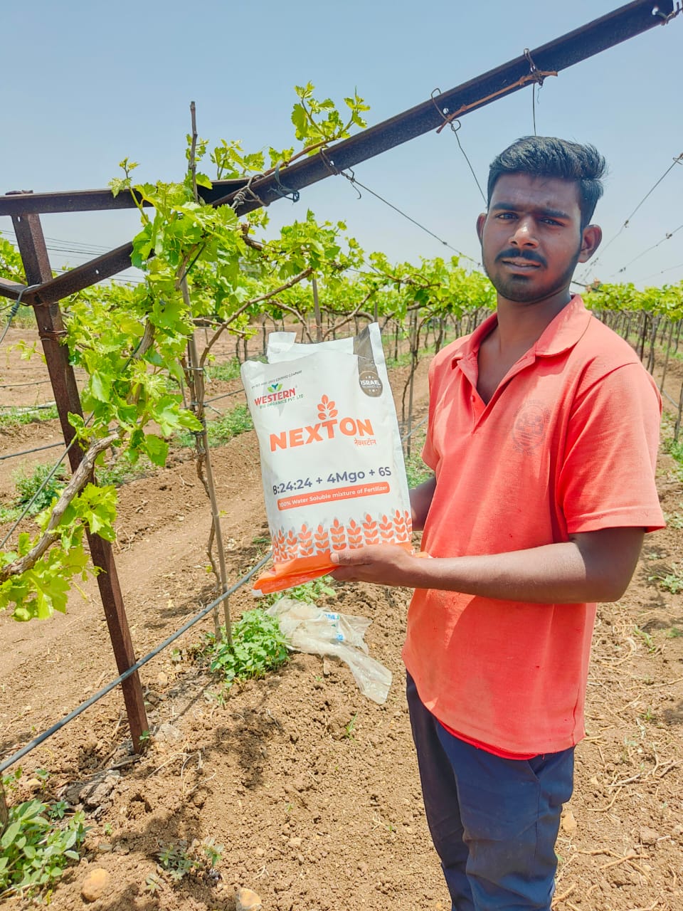 Fertilizer Result